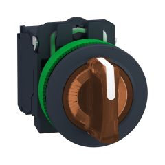 XB5FK135B5 | Schneider Işıklı, mandal buton LED 24 VAC /DC    Yeşil 1NA+1NK